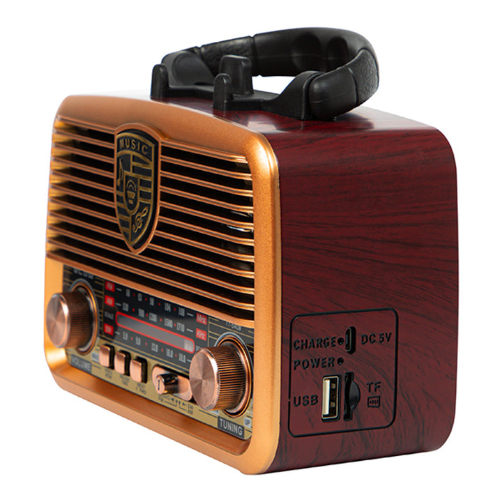 Radio solaire portable AM/FM BT BLOW RA10