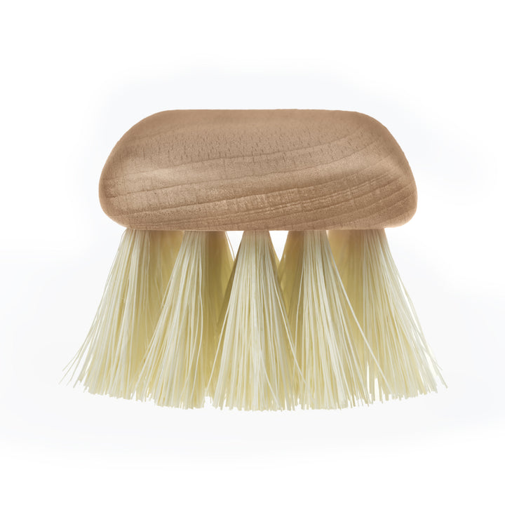 Brosse à tapisser Starmann, bois de hêtre, tampico, 18cm, 97/8-T