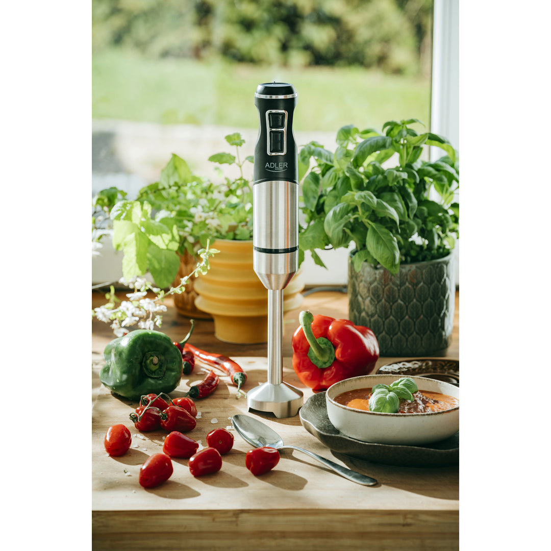 Mixeur plongeant Adler, fonction turbo, fonction broyeur de glace, 1900W, AD 4628