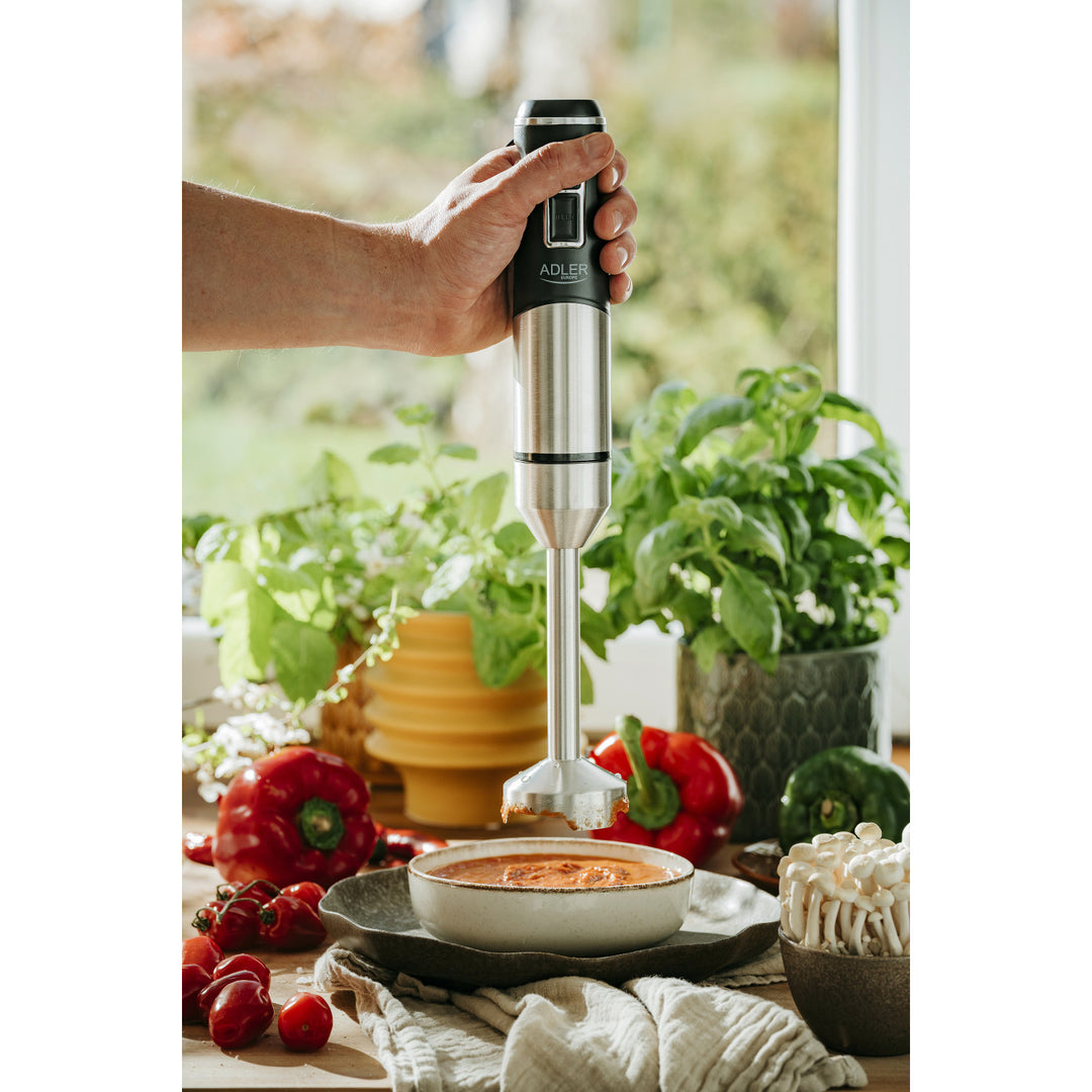 Mixeur plongeant Adler, fonction turbo, fonction broyeur de glace, 1900W, AD 4628