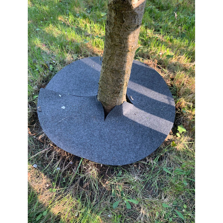 Jeu de disques anti-herbes Bertoni, 3 pièces, 60 cm, gris