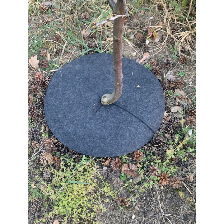 Jeu de disques anti-herbe Bertoni, 6 pièces, 50 cm, gris