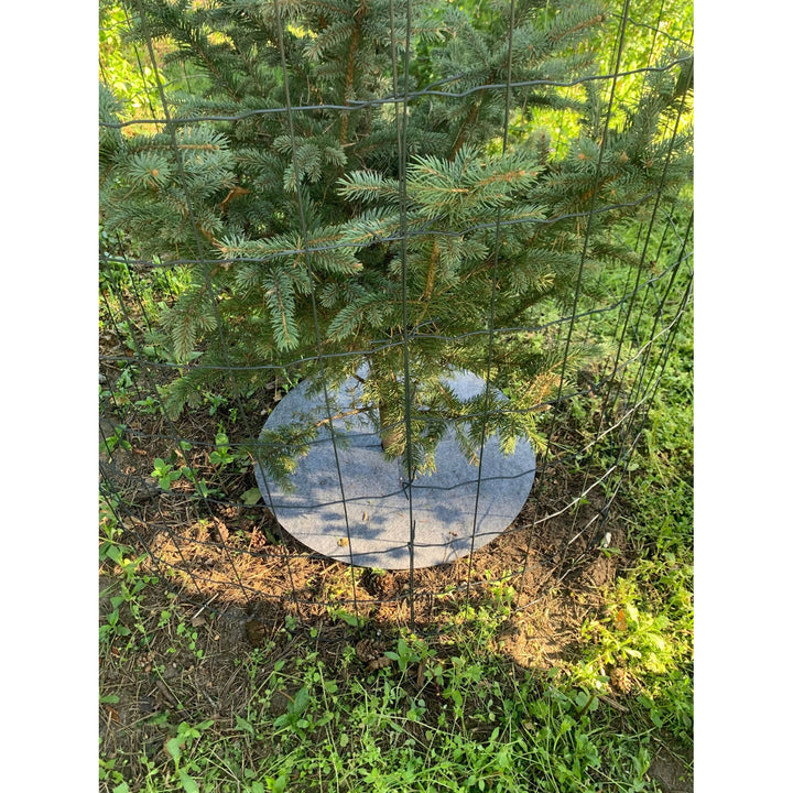 Jeu de disques anti-herbe Bertoni, 6 pièces, 50 cm, gris