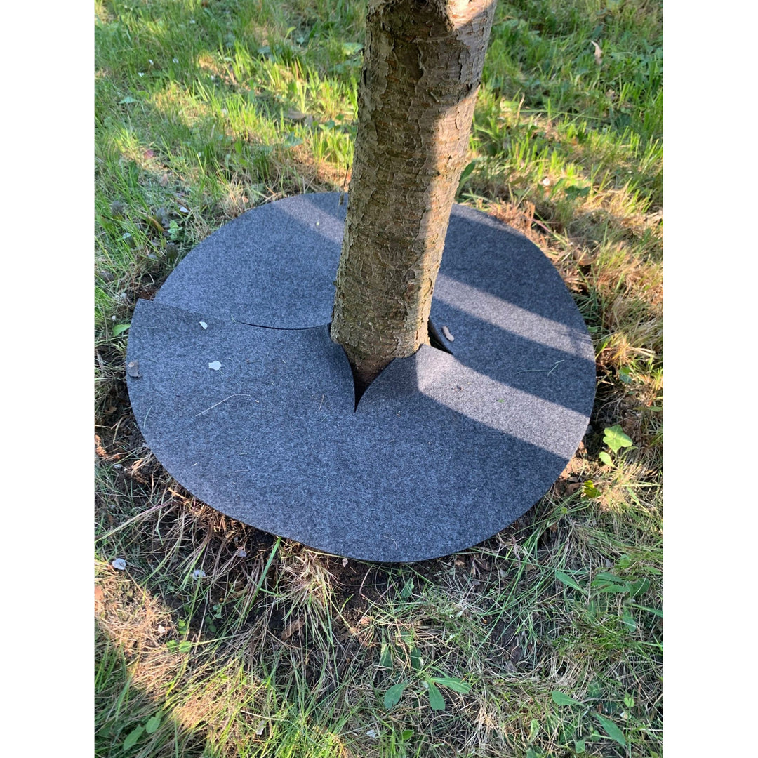Jeu de disques anti-herbe Bertoni, 6 pièces, 60 cm, gris