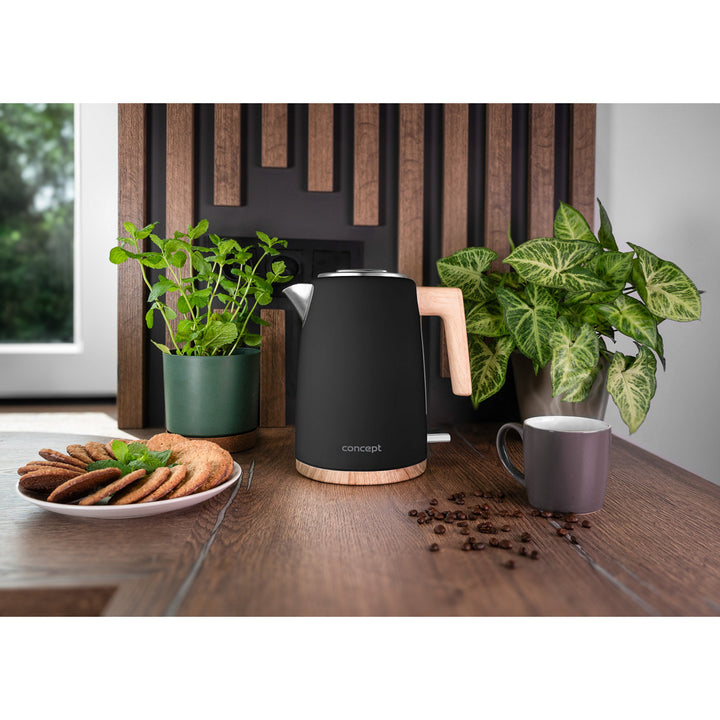 Bouilloire électrique Concept ELWOOD, acier inoxydable, 1,7L, indicateur de niveau d'eau, RK3316