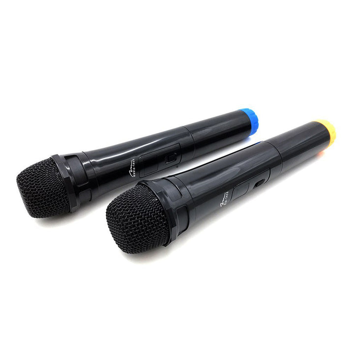 Deux microphones sans fil avec récepteur USB pour haut-parleur avec fonction karaoké, Mediatech MT395