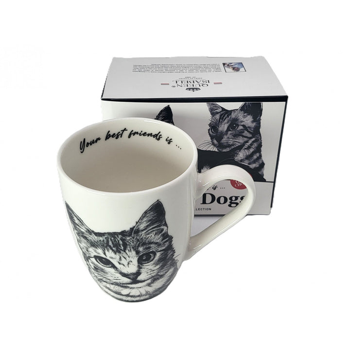 Tasse en porcelaine Reine Isabel, chat américain à poil court, 350ml, Q1-05195