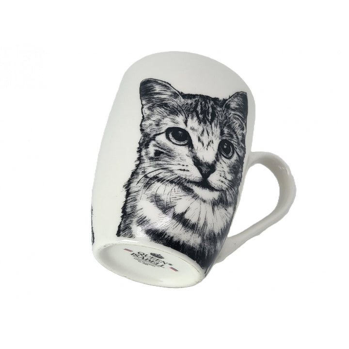 Tasse en porcelaine Reine Isabel, chat américain à poil court, 350ml, Q1-05195