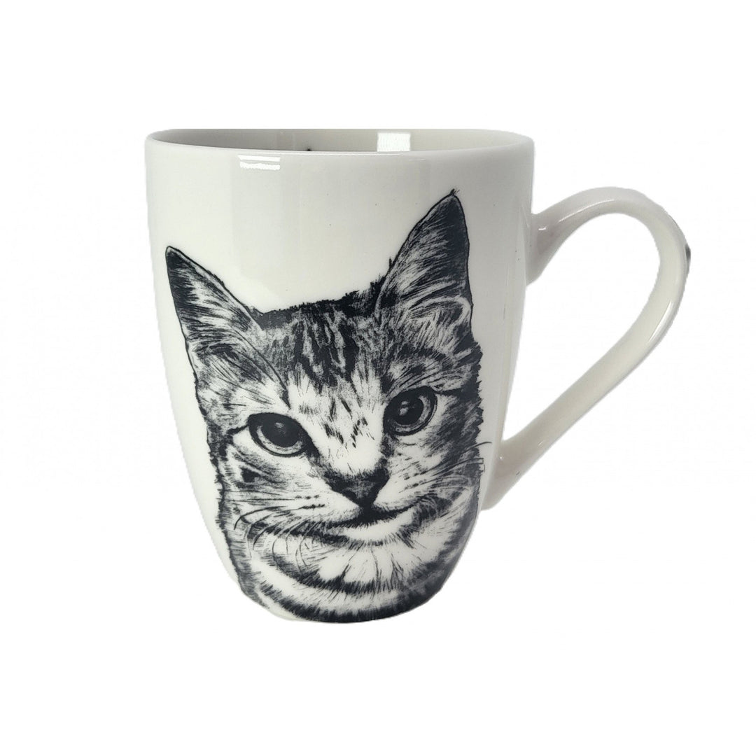 Tasse en porcelaine Reine Isabel, chat américain à poil court, 350ml, Q1-05195