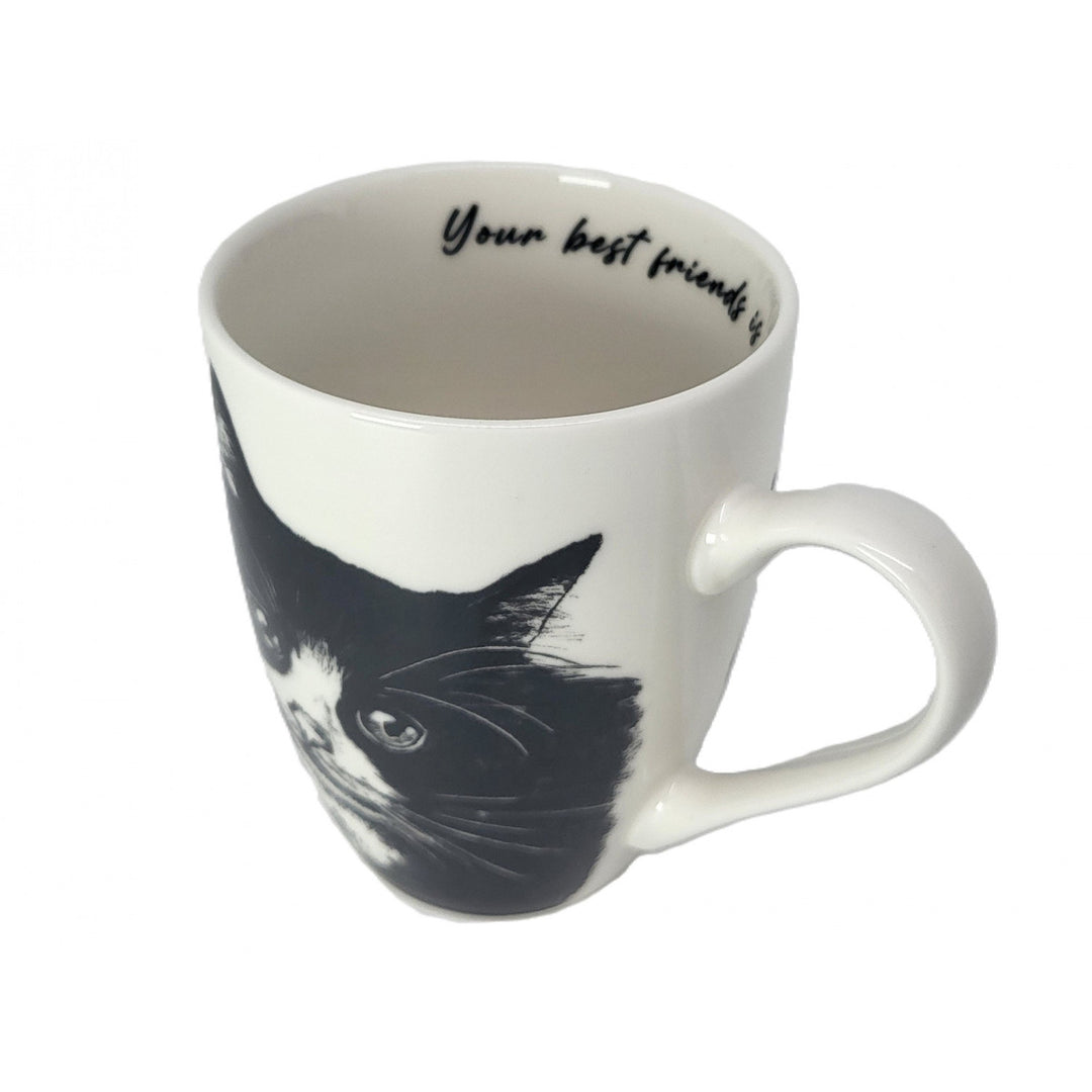 Tasse en porcelaine Reine Isabel, chat européen, 350ml, Q1-05218