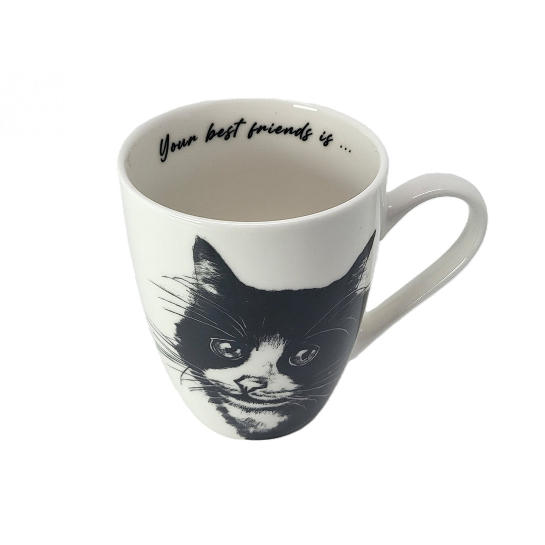 Tasse en porcelaine Reine Isabel, chat européen, 350ml, Q1-05218