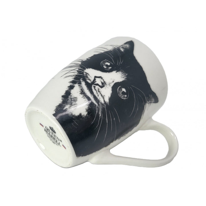 Tasse en porcelaine Reine Isabel, chat européen, 350ml, Q1-05218
