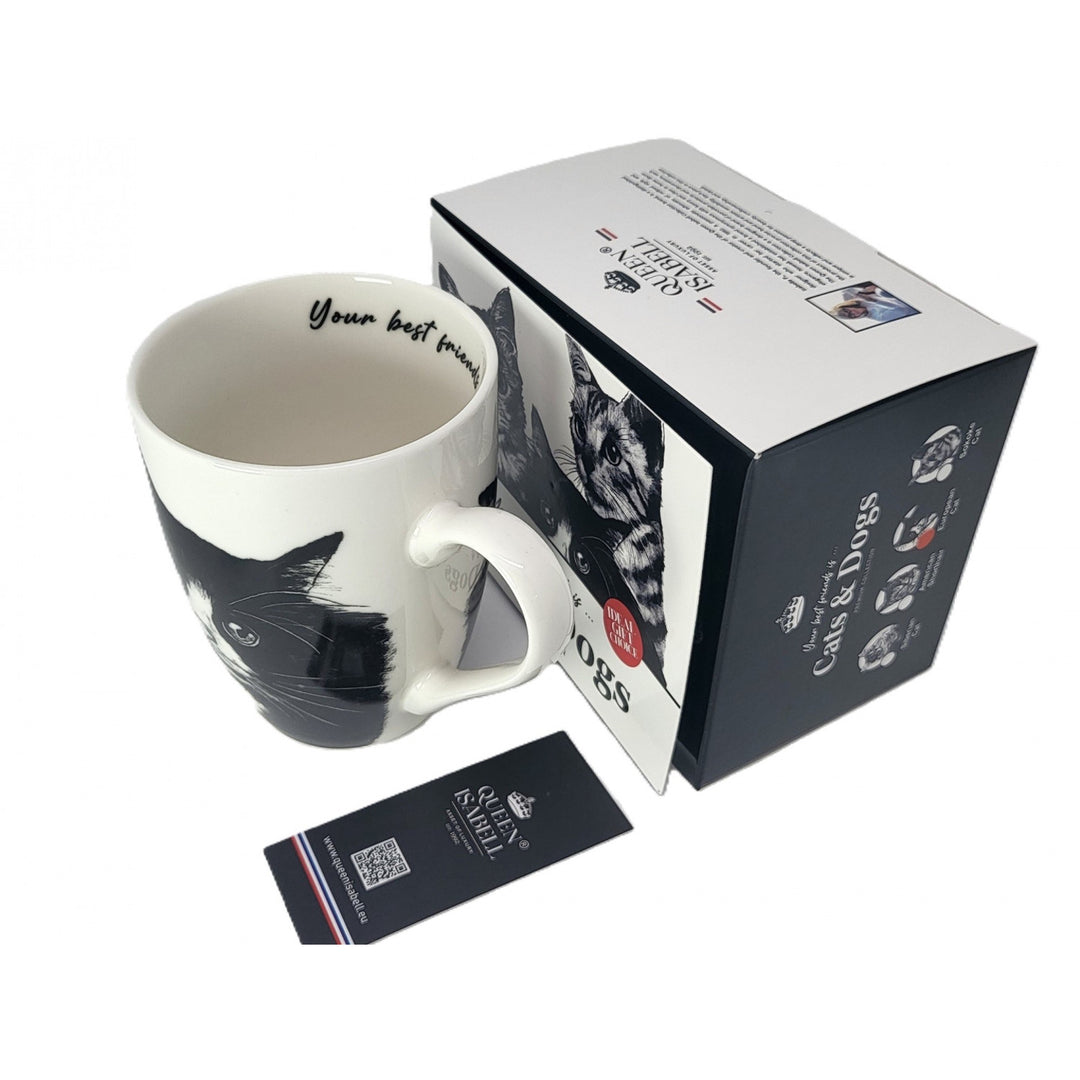 Tasse en porcelaine Reine Isabel, chat européen, 350ml, Q1-05218