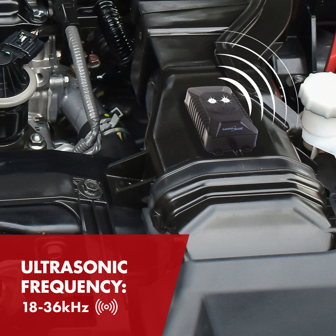 GreenBlue GB725 dissuade les rongeurs et les martres par ultrasons et LED + 4 piles AA Varta Industrial