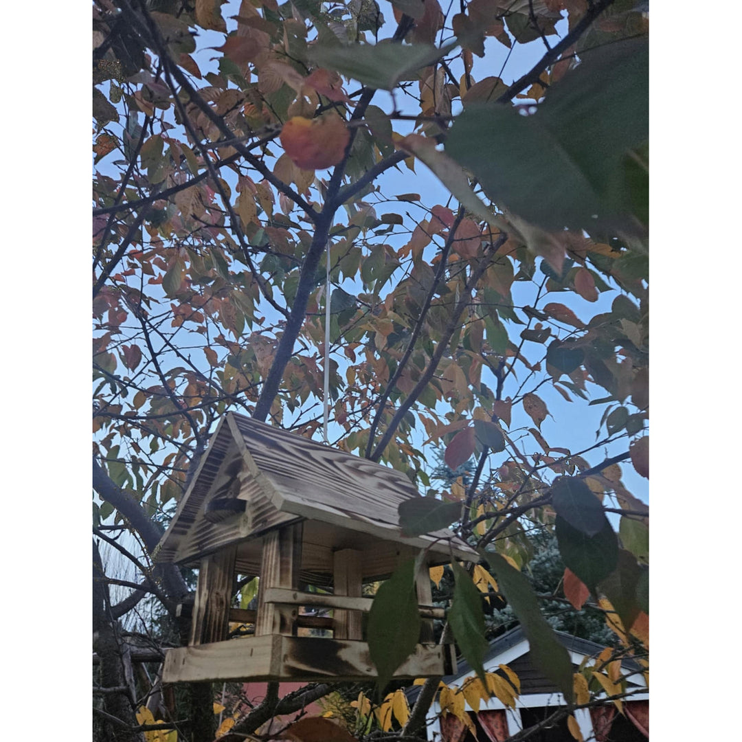 Mangeoire à oiseaux Woodok, en bois, cuite, crochet de suspension + graines pour oiseaux 1kg