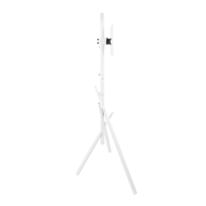 Support / pied de sol pour téléviseur Maclean, 27-55", VESA max. 200x200, max. 60 kg, MC-181 W