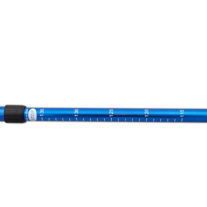 Bâtons de marche nordique en aluminium télescopiques, 65-135 cm, bleus, 2 paires