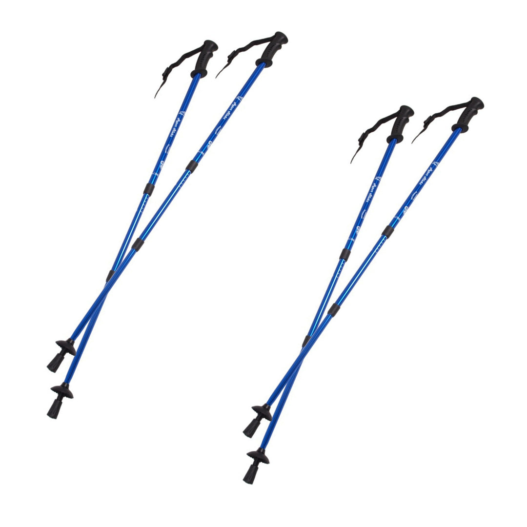 Bâtons de marche nordique en aluminium télescopiques, 65-135 cm, bleus, 2 paires
