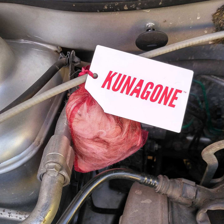 Répulsif naturel contre les martres Kunagone, pour la voiture, la maison, les combles, lot de 3