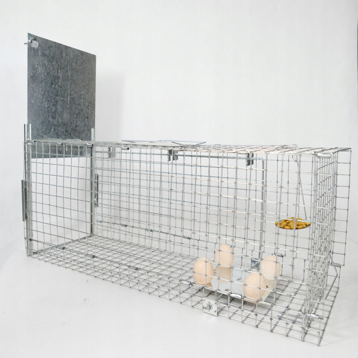 Piège vivant, piège à martres, rats, souris, visons, belettes, Viano P2