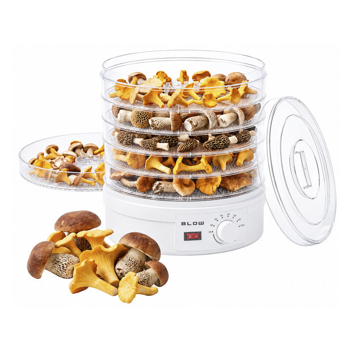 Séchoir à champignons, légumes et fruits Blow, puissance 500 W, 6 grilles incluses, réglage de la température de 35 à 75 °C, 44-175